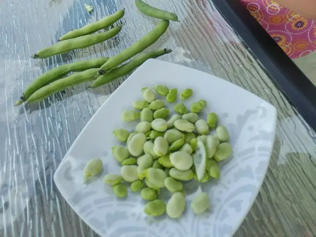 スーパーでそら豆発見!!【カナダ・ケベック】