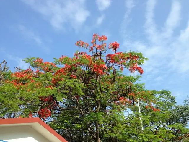 メキシコで怖い生き物【メキシコ】