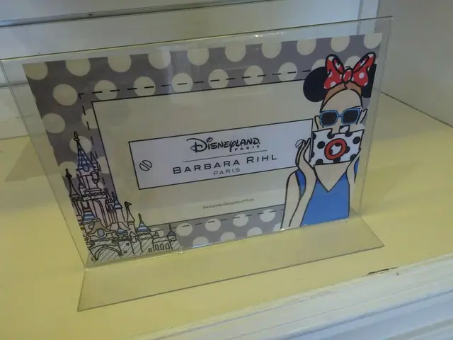 Barbara Rihl x Disneyland Parisのコラボが可愛い♪【フランス】