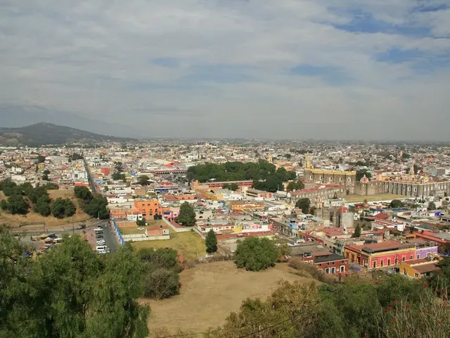 メキシコの花粉症　対策グッズは日本で【メキシコ】