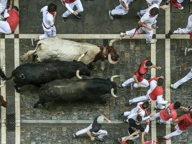 牛追い祭り「サン・フェルミン」【スペイン】