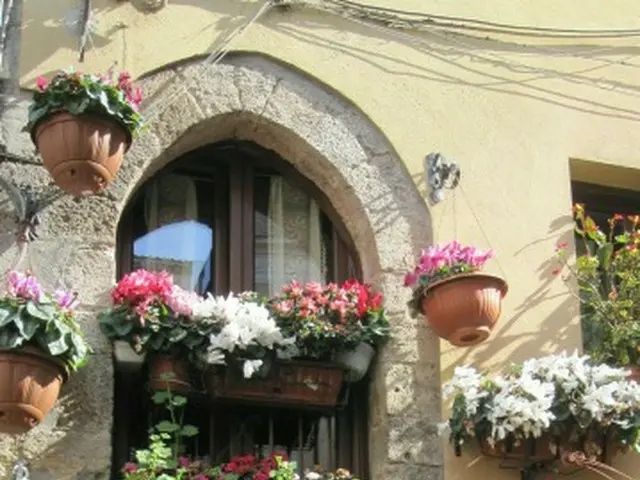 特産のオリーブオイルが美味しい町フェレンティーノ【イタリア】