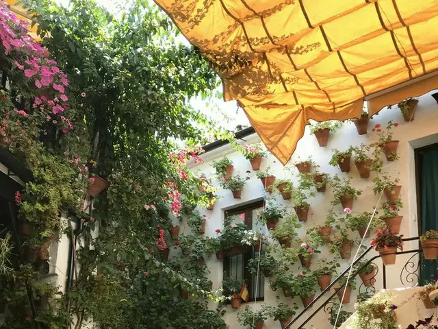 町中が花で溢れるコルドバのパティオ祭り【スペイン】