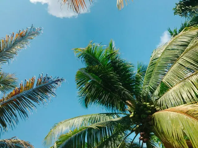 フィリピンへの旅行は雨季乾季をチェックしよう！【フィリピン】